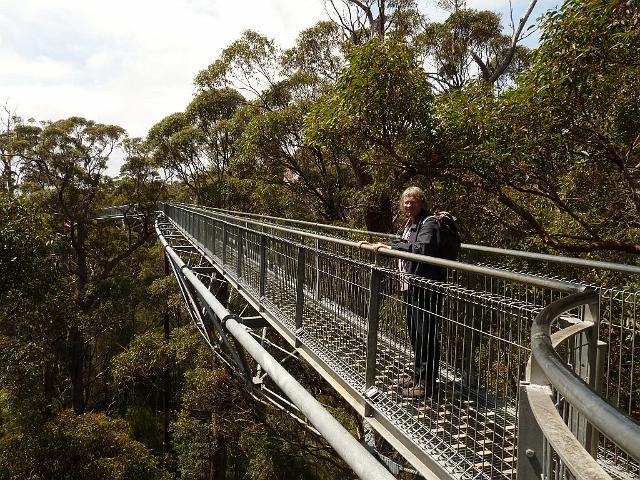 (58) The Tree Top Walkway.JPG